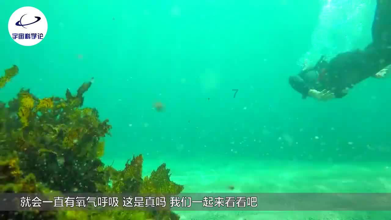 拯救胖男孩